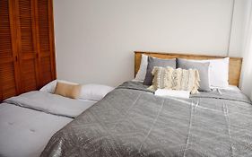 Best Location - Spacious And Fancy Apt